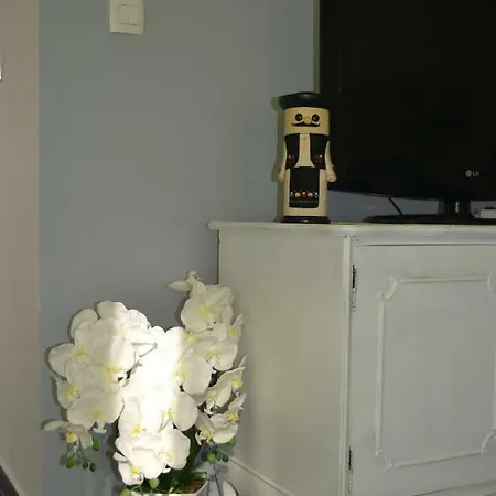 Apartment Bebe In Old Town- With Free Parking